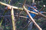 Survival Training